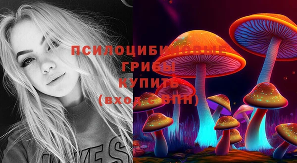 молекула духа Баксан
