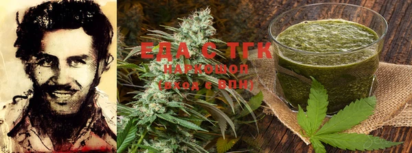 шишки Новодвинск