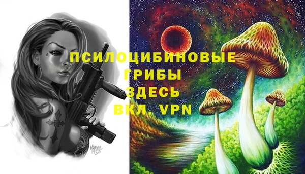 молекула духа Баксан