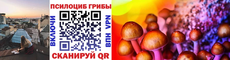 Псилоцибиновые грибы Magic Shrooms  купить наркотик  Тулун 
